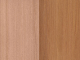 Infrarotkabine Zedernholz Red Cedar